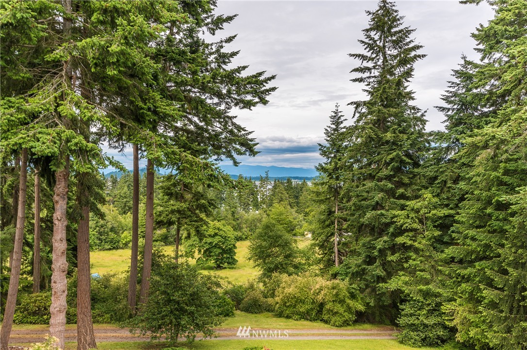 3169 Green Road Oak Harbor, WA 98277 - Photo 21 of 25 Gallery Image 21