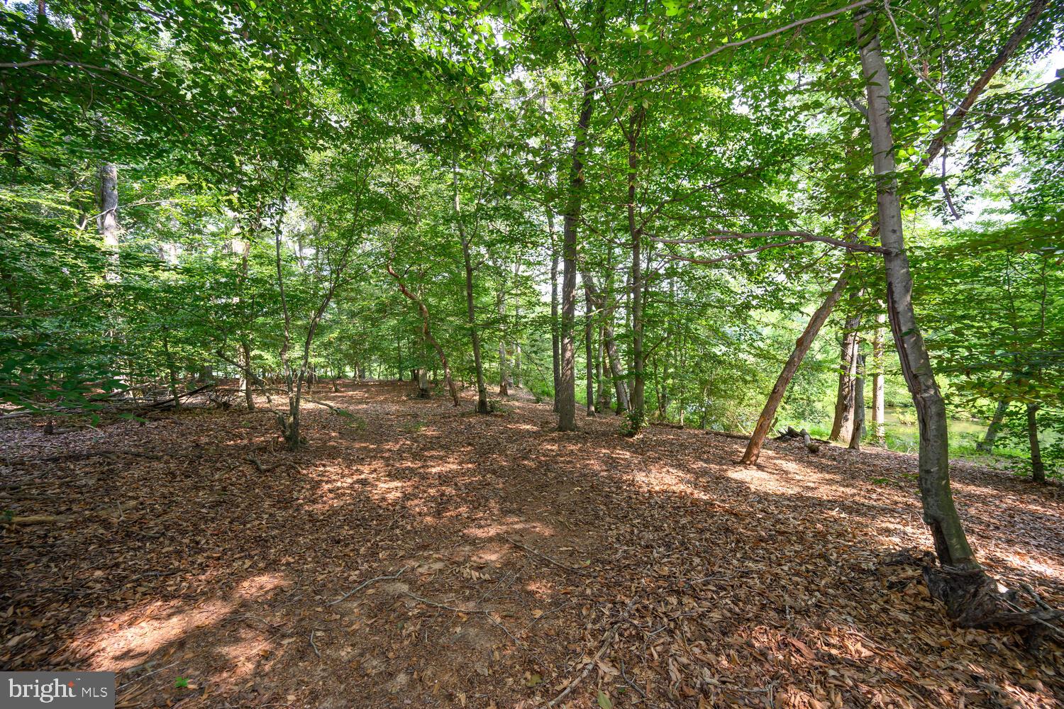 24316 Auction Road Preston, MD 21655 - Photo 25 of 33 Gallery Image 25