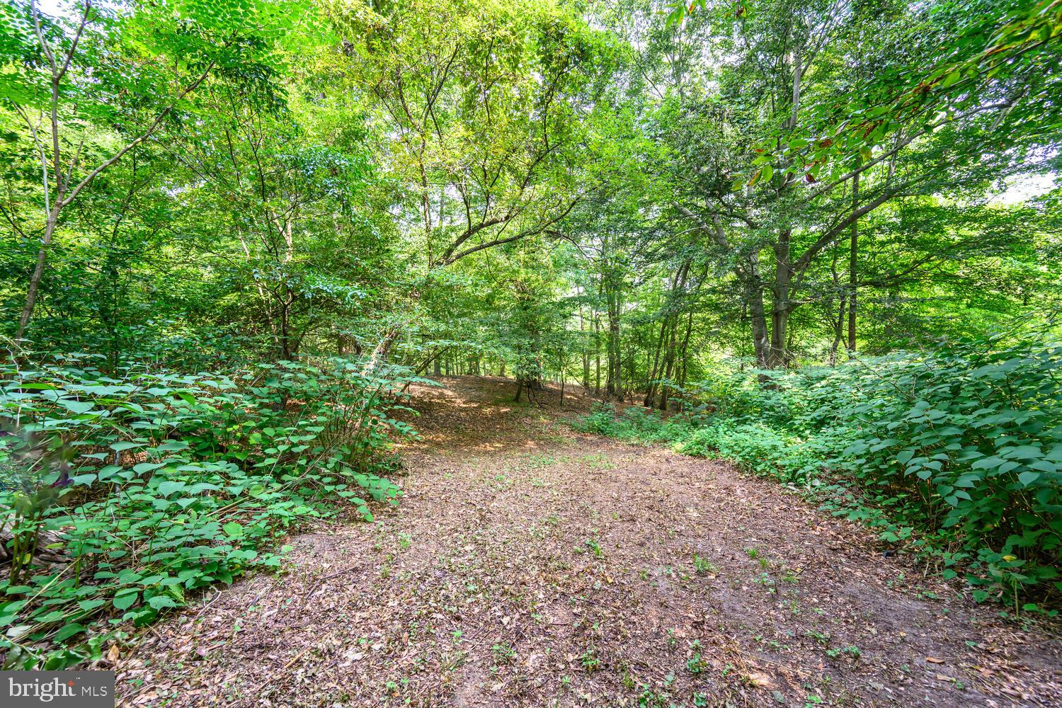 24316 Auction Road Preston, MD 21655 - Photo 26 of 33 Gallery Image 26