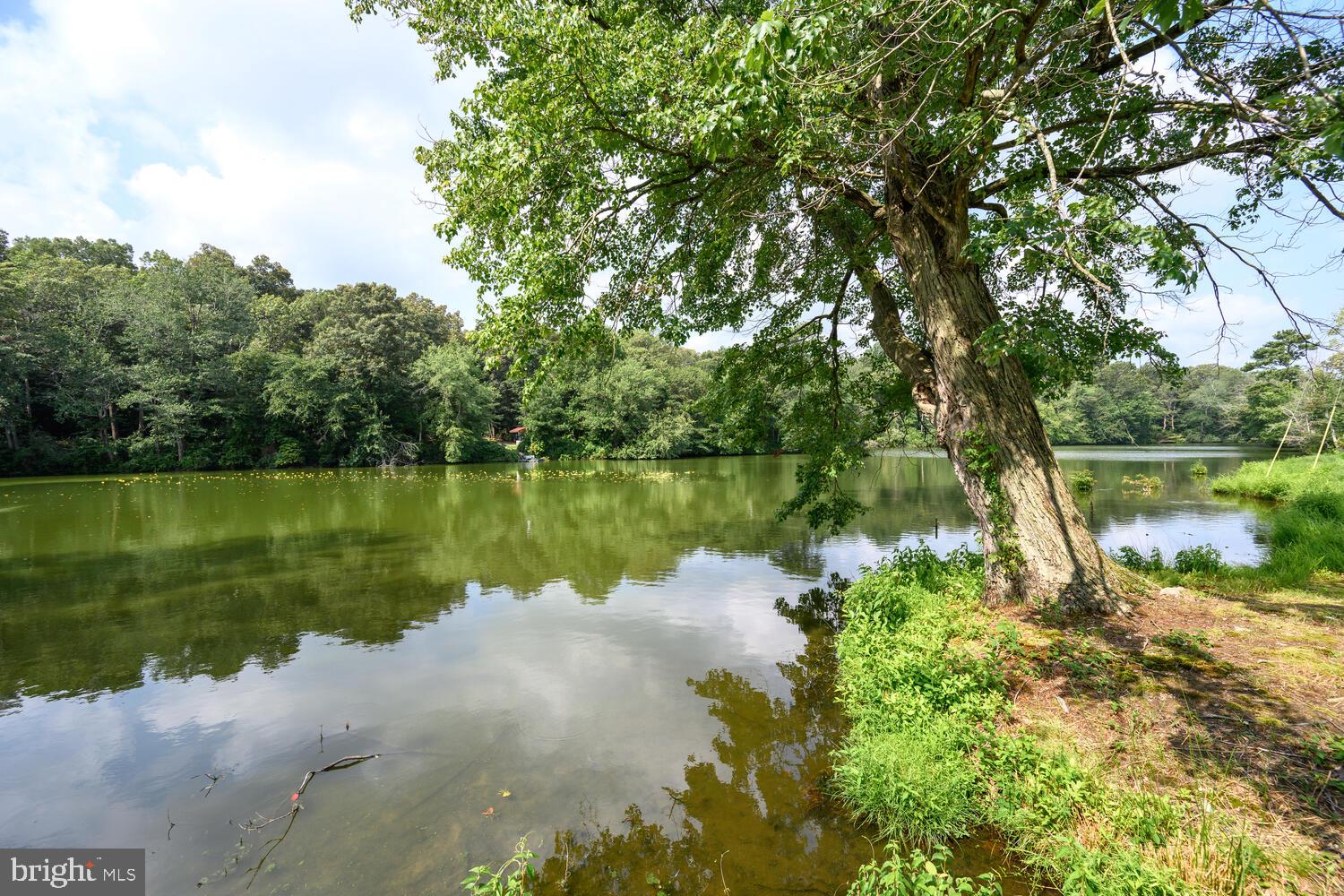 24316 Auction Road Preston, MD 21655 - Photo 29 of 33 Gallery Image 29