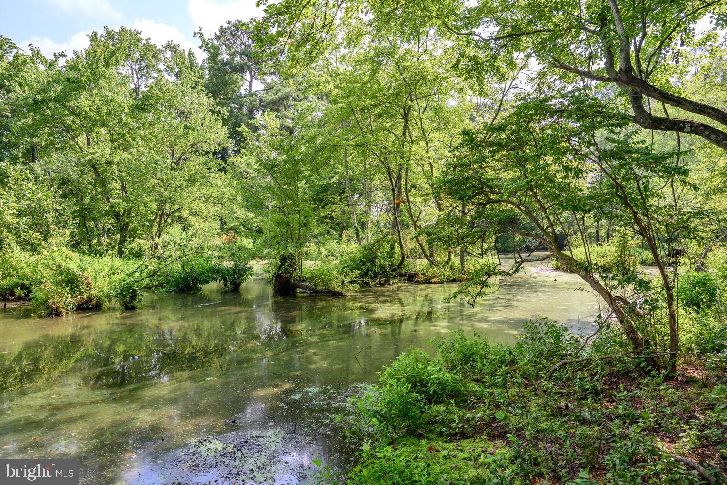 24316 Auction Road Preston, MD 21655 - Photo 31 of 33 Gallery Image 31