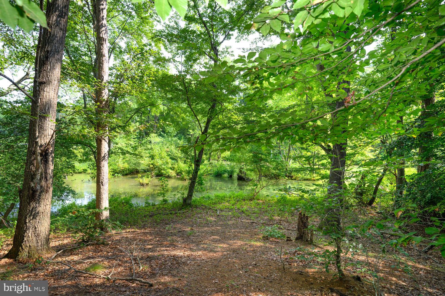 24316 Auction Road Preston, MD 21655 - Photo 7 of 33 Gallery Image 7