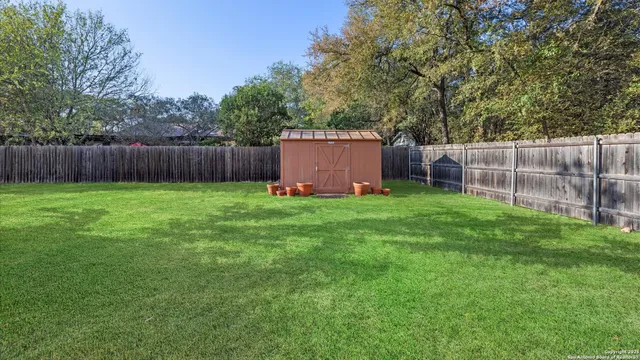a view of a park with large trees