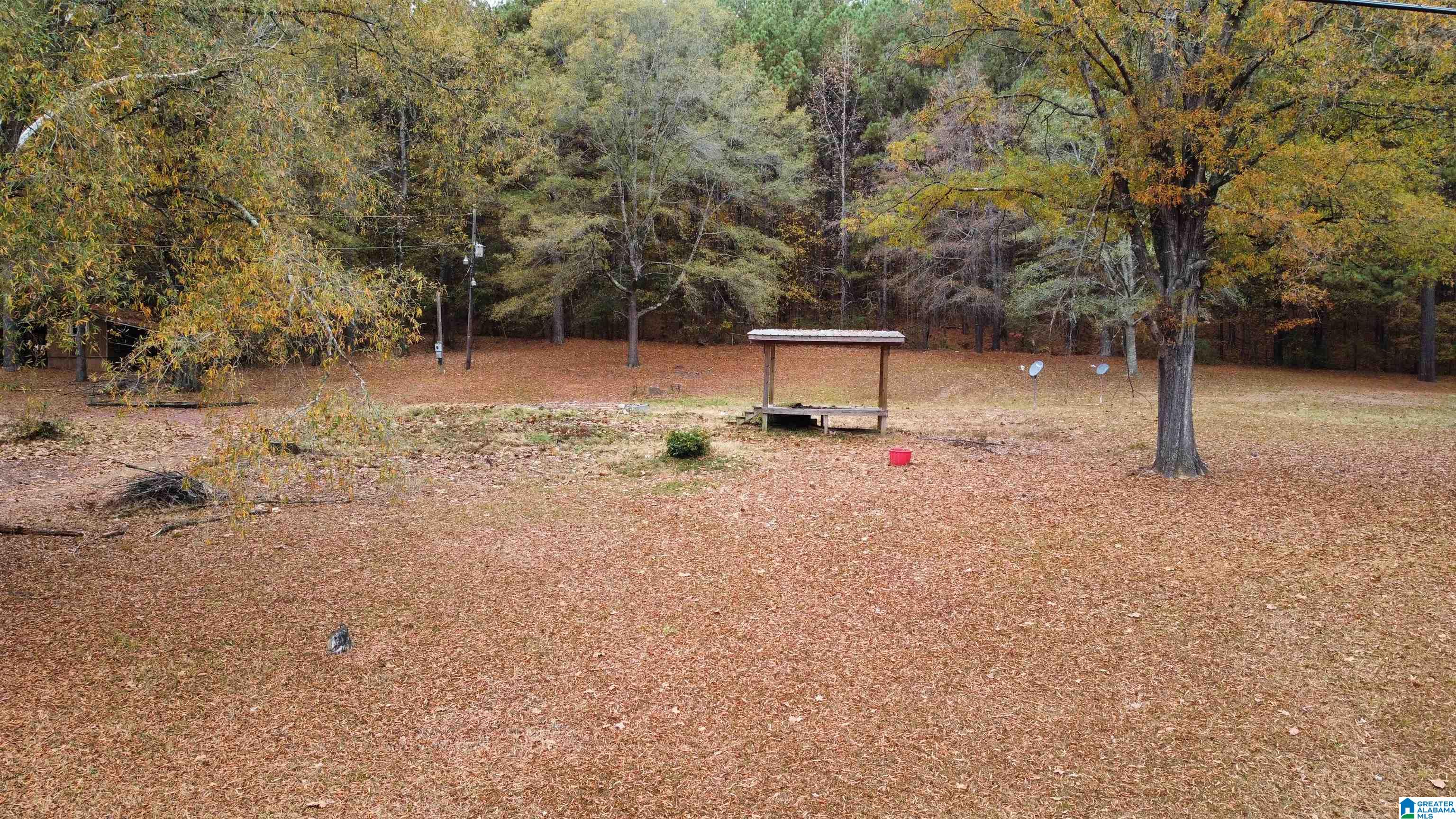 385 Jackson Street, Unit 385 Oakman, AL 35579 - Photo 15 of 19