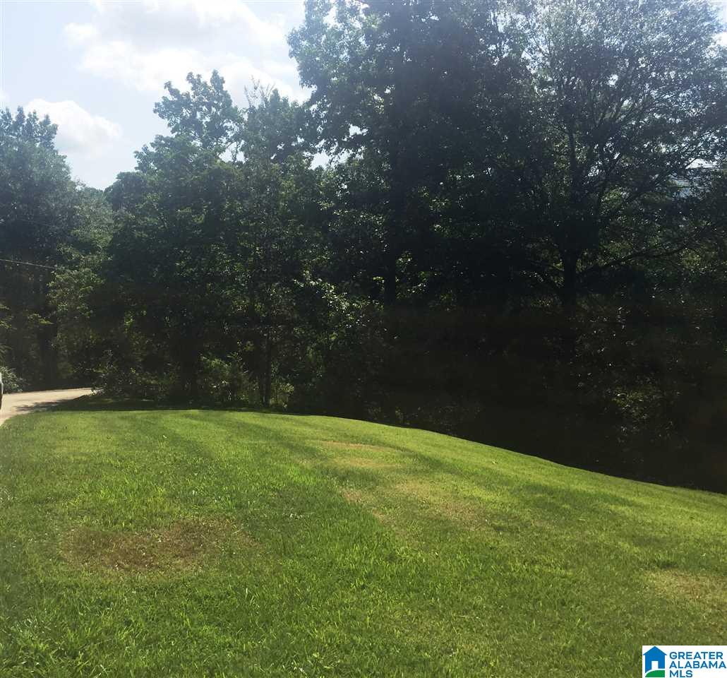 133 Gauldinville Road Anniston, AL 36201 - Photo 26 of 27