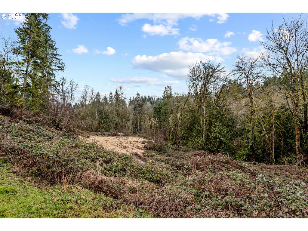 520 Clark Creek Road Longview, WA 98632 - Photo 27 of 32 Gallery Image 27