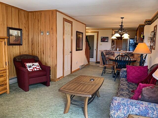 47 Powderidge Road, Unit 55 Snowshoe, WV 26209 - Photo 4 of 25 Gallery Image 4