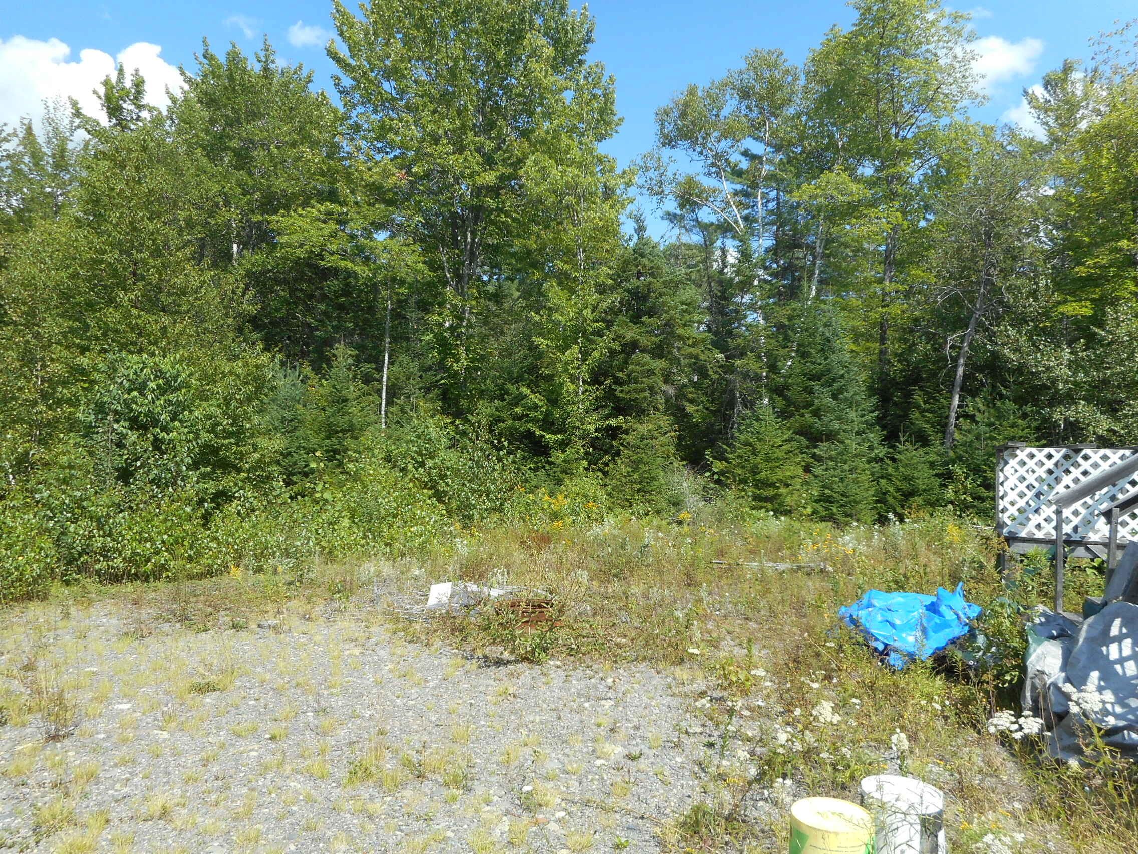 Tbd Railroad Bed Road Medford, ME 04463 - Photo 19 of 22 DSCN3182