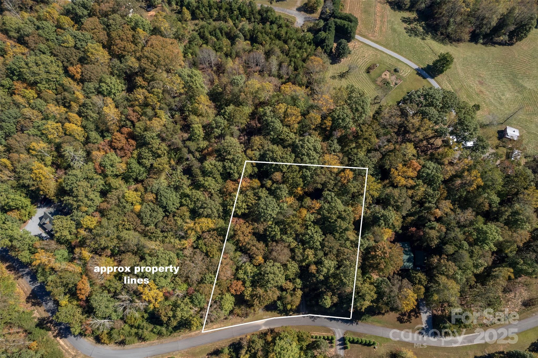 329 Cinnamon Ridge Rutherfordton, NC 28139 - Photo 36 of 43