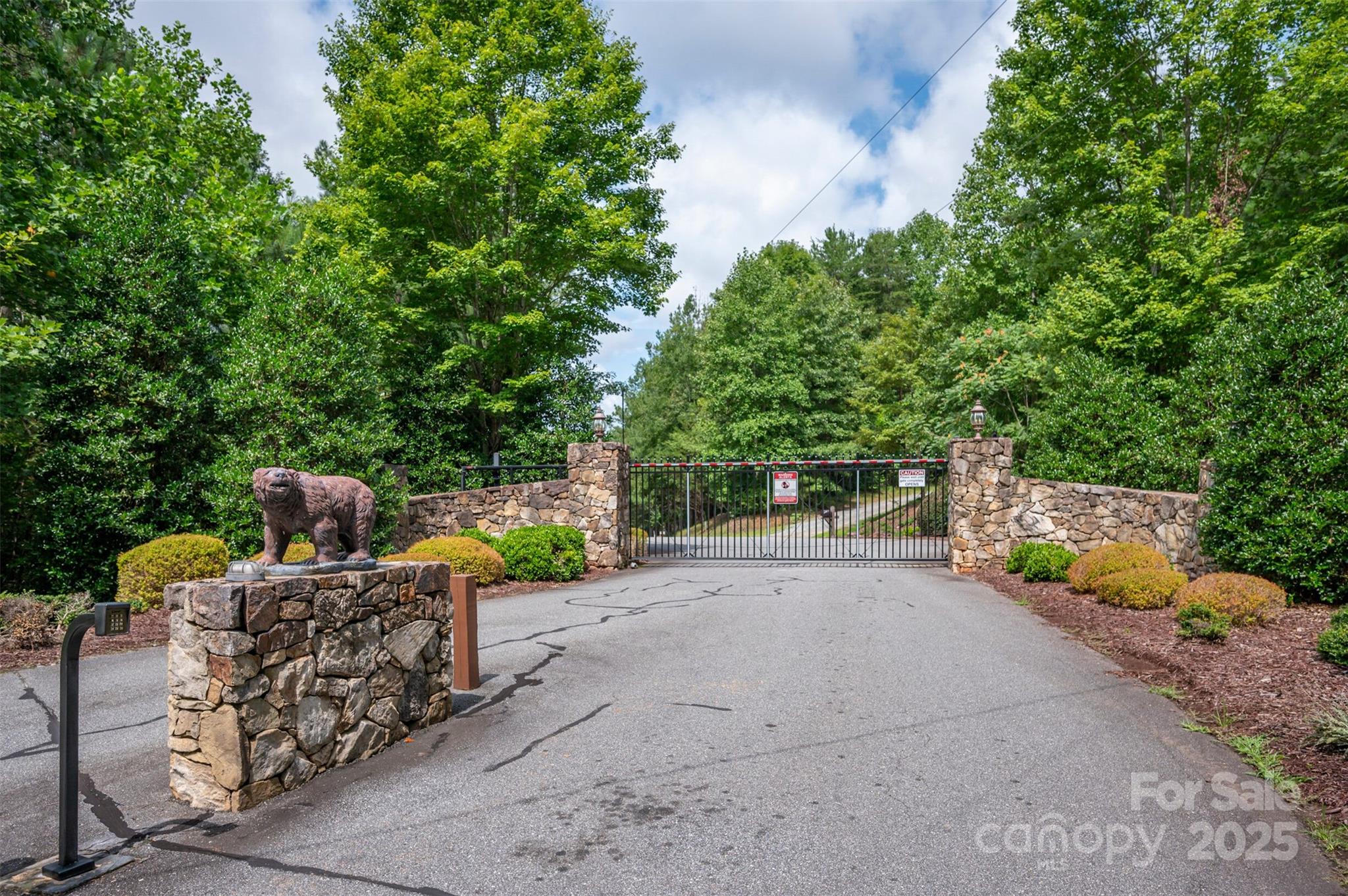 329 Cinnamon Ridge Rutherfordton, NC 28139 - Photo 39 of 43