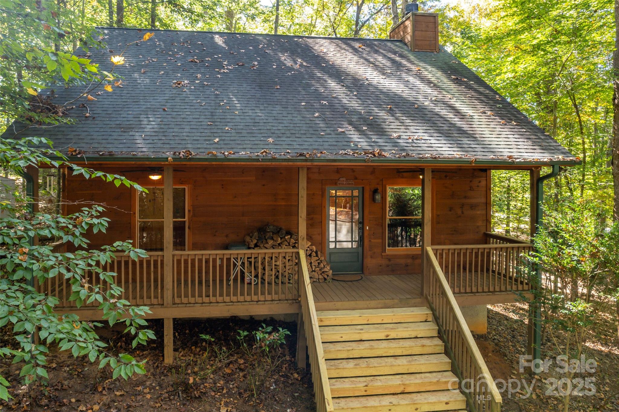 329 Cinnamon Ridge Rutherfordton, NC 28139 - Photo 4 of 43