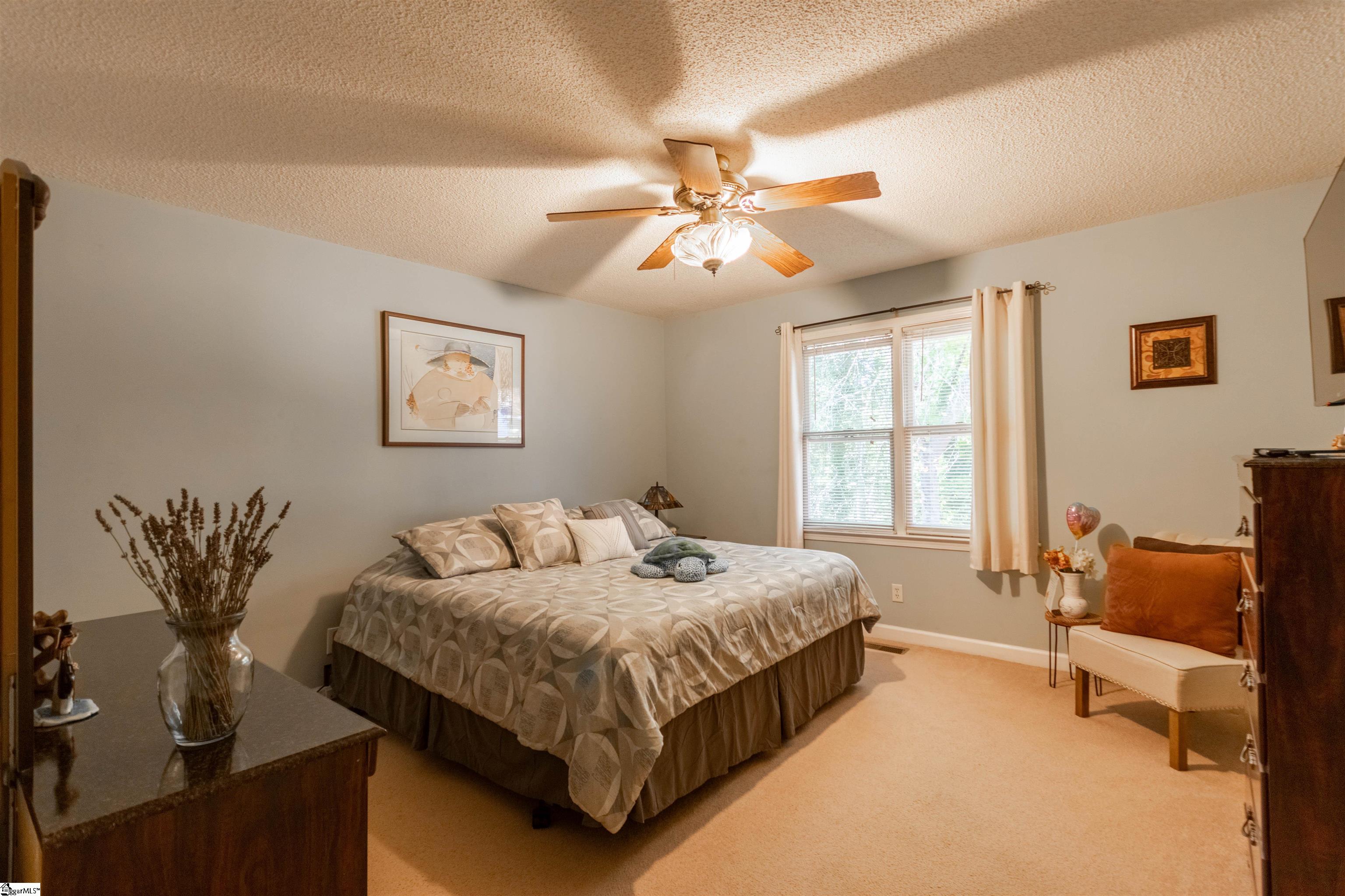 107 Boulder Creek Way Greer, SC 29651 - Photo 15 of 22