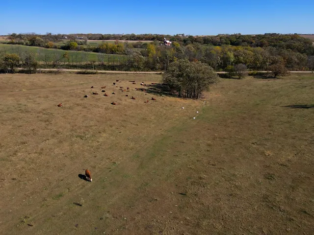 a view of lake and mountain