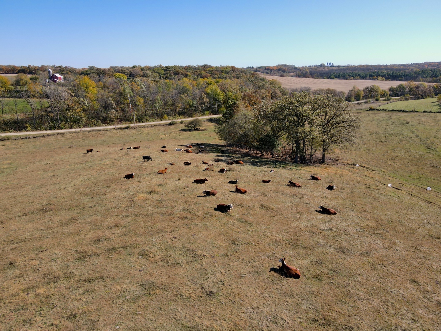 0 Holstein Prairie Road Monticello, WI 53570 - Photo 15 of 23 a view of a mountain view