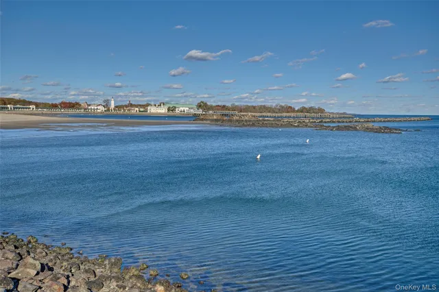 a view of lake with mountain