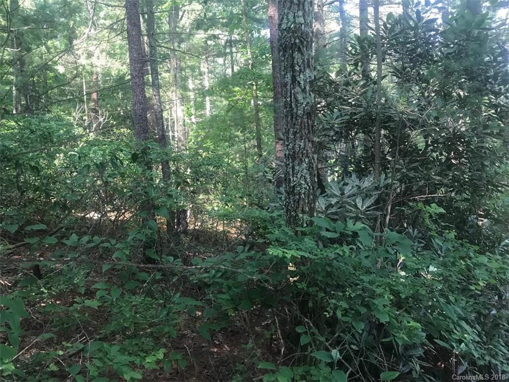 0 St Pauls Road Hendersonville, NC 28792 - Photo 2 of 4 Gallery Image 2