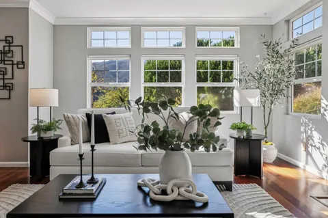 a living room with furniture and a potted plant