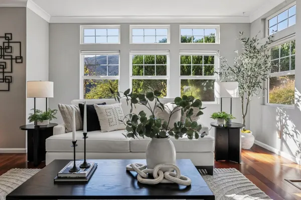 a living room with furniture and a potted plant
