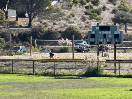 a view of a house with a outdoor space