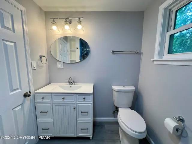 a bathroom with a toilet a sink and a mirror