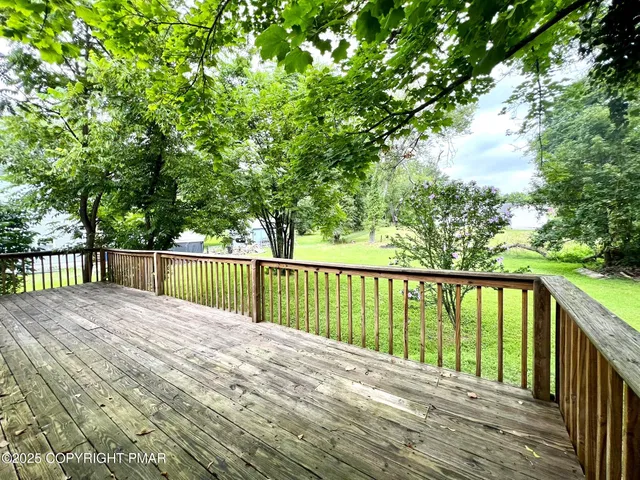 a view of an trees with yard