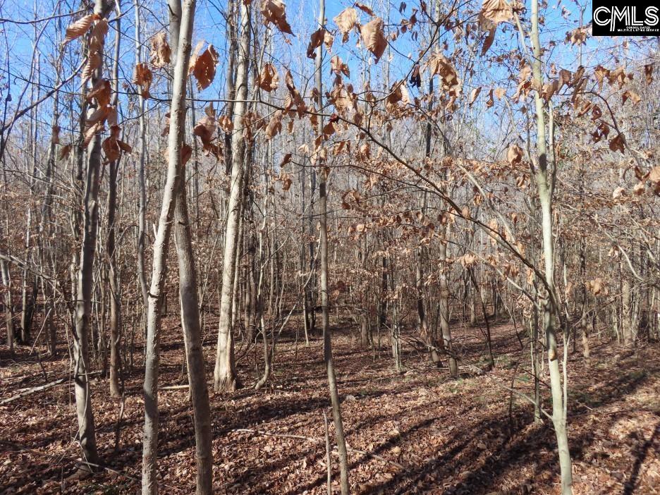 637 Cook Road Ridgeway, SC 29130 - Photo 23 of 51