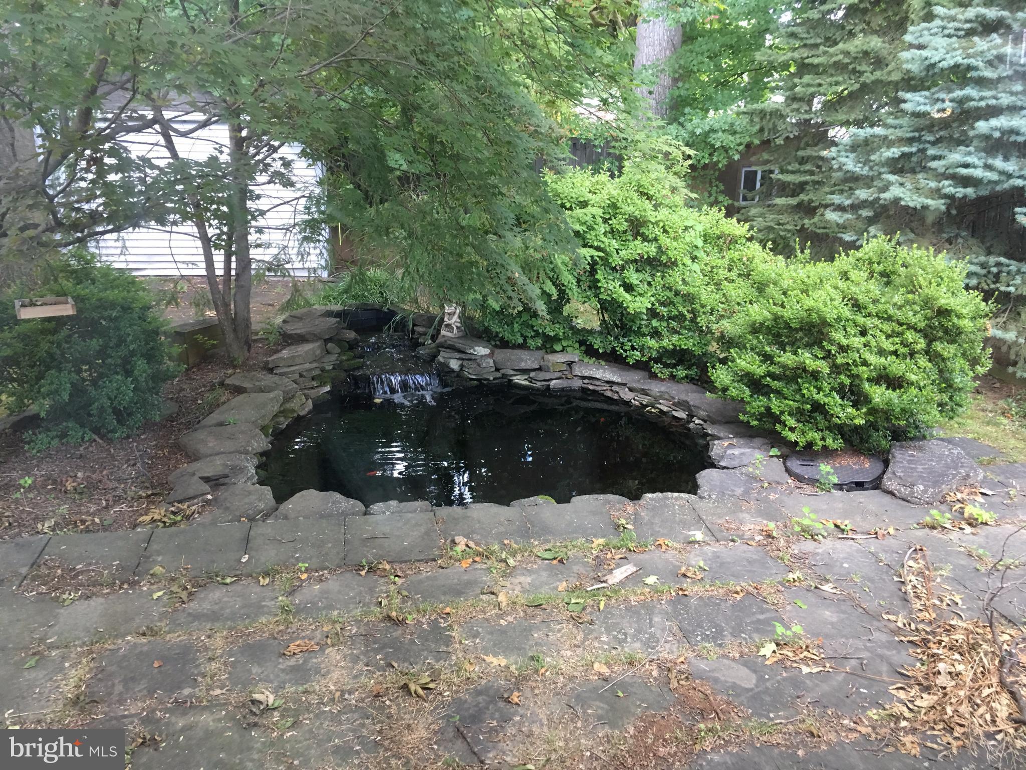 13202 Holdridge Road Silver Spring, MD 20906 - Photo 2 of 2 fish pond