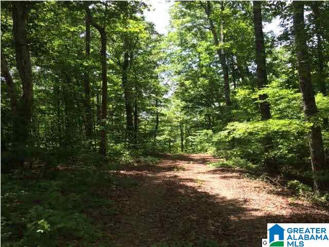 49 County Road Clanton, AL 35045 - Photo 3 of 4