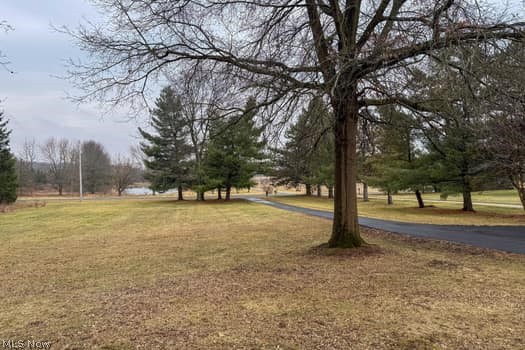 4293 Good Road Seville, OH 44273 - Photo 9 of 35 View of green lawn