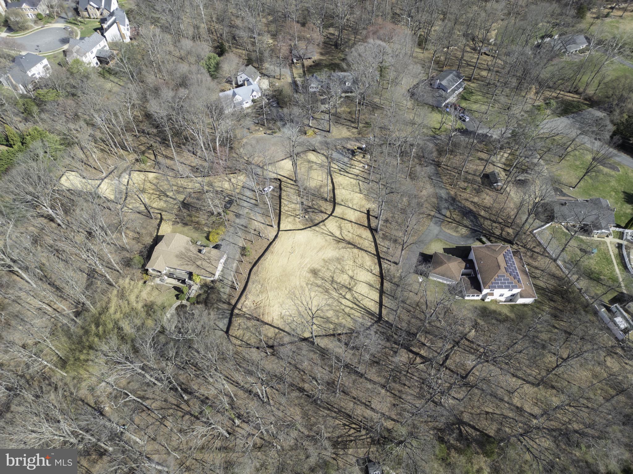 25 Jefferson Drive Sterling, VA 20165 - Photo 12 of 32 a picture of tree