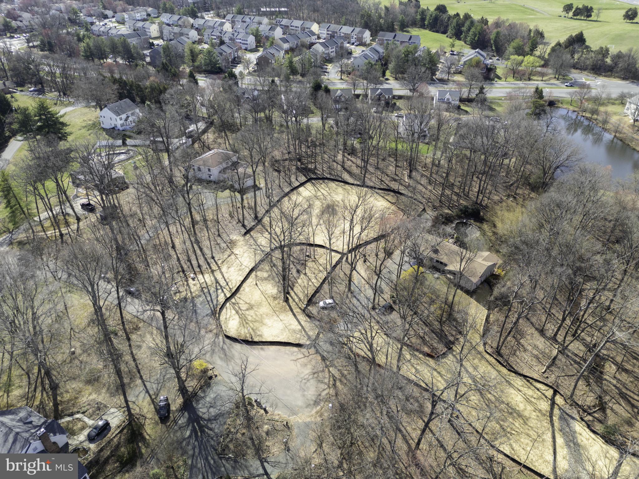 25 Jefferson Drive Sterling, VA 20165 - Photo 19 of 32 a picture of tree