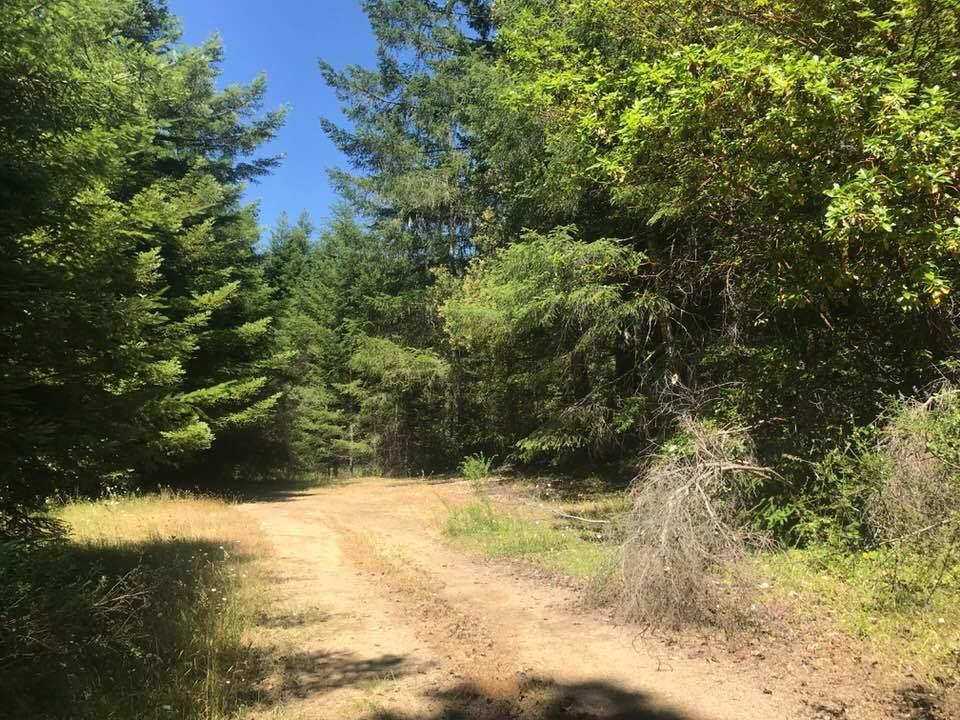 0 Dyerville Loop Road Redcrest, CA 95569 - Photo 6 of 11