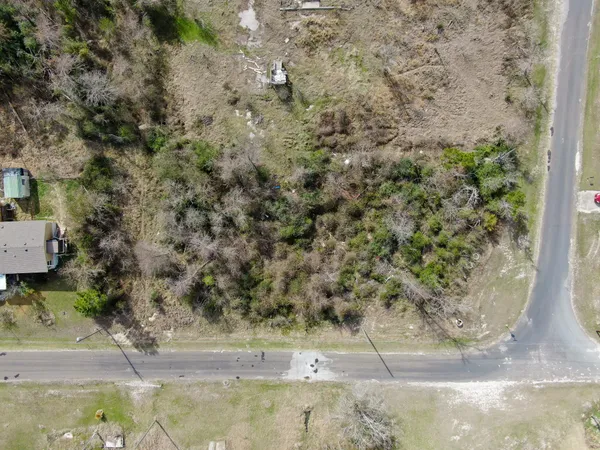 a view of a yard with large trees