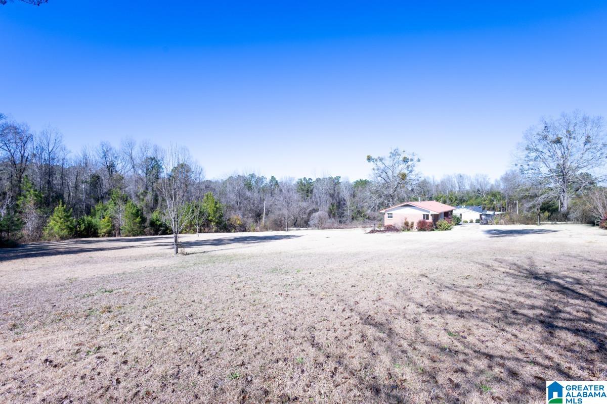 1885 Rosenwald Hieghts Tuskegee, AL 36083 - Photo 1 of 14
