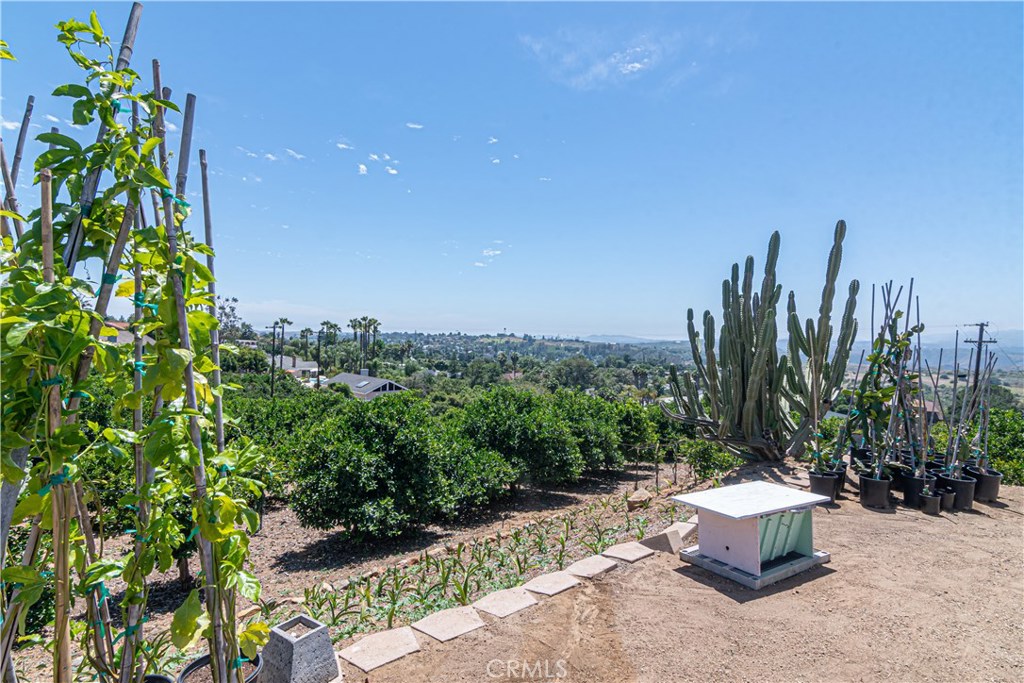 803 Quail Hill Road Fallbrook, CA 92028 - Photo 3 of 16