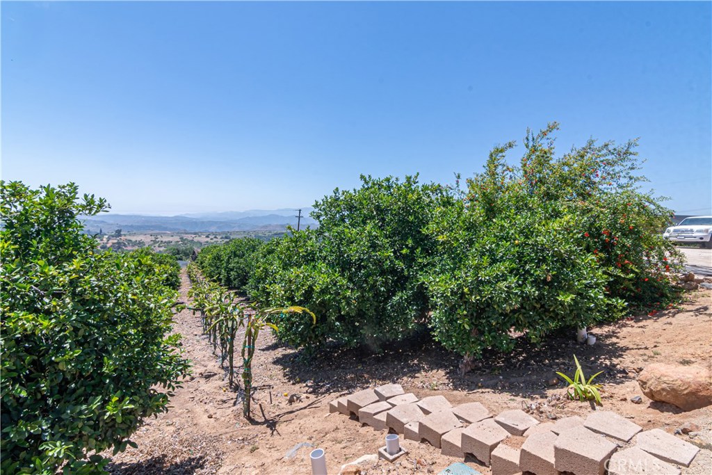 803 Quail Hill Road Fallbrook, CA 92028 - Photo 4 of 16