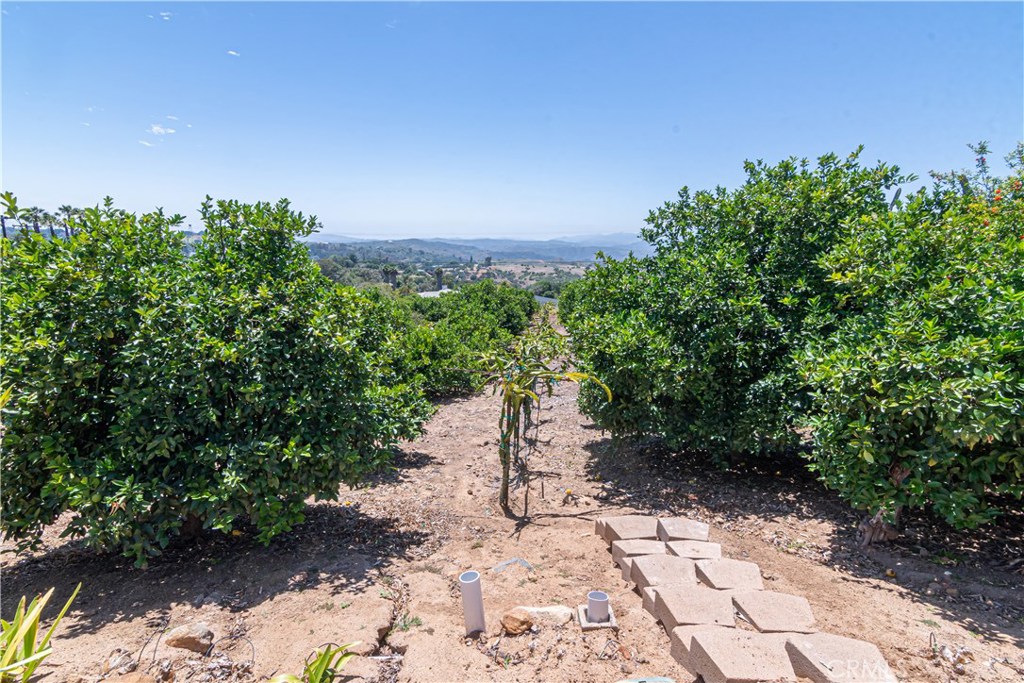 803 Quail Hill Road Fallbrook, CA 92028 - Photo 5 of 16