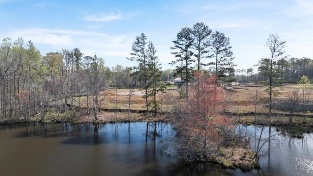 4060 Fairhaven Road Lithia Springs, GA 30122 - Photo 34 of 35