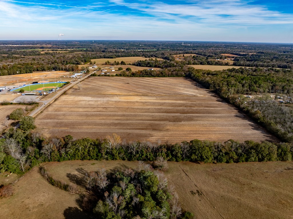 51.8-ac Hadden Road Dothan, AL 36301 - Photo 9 of 43