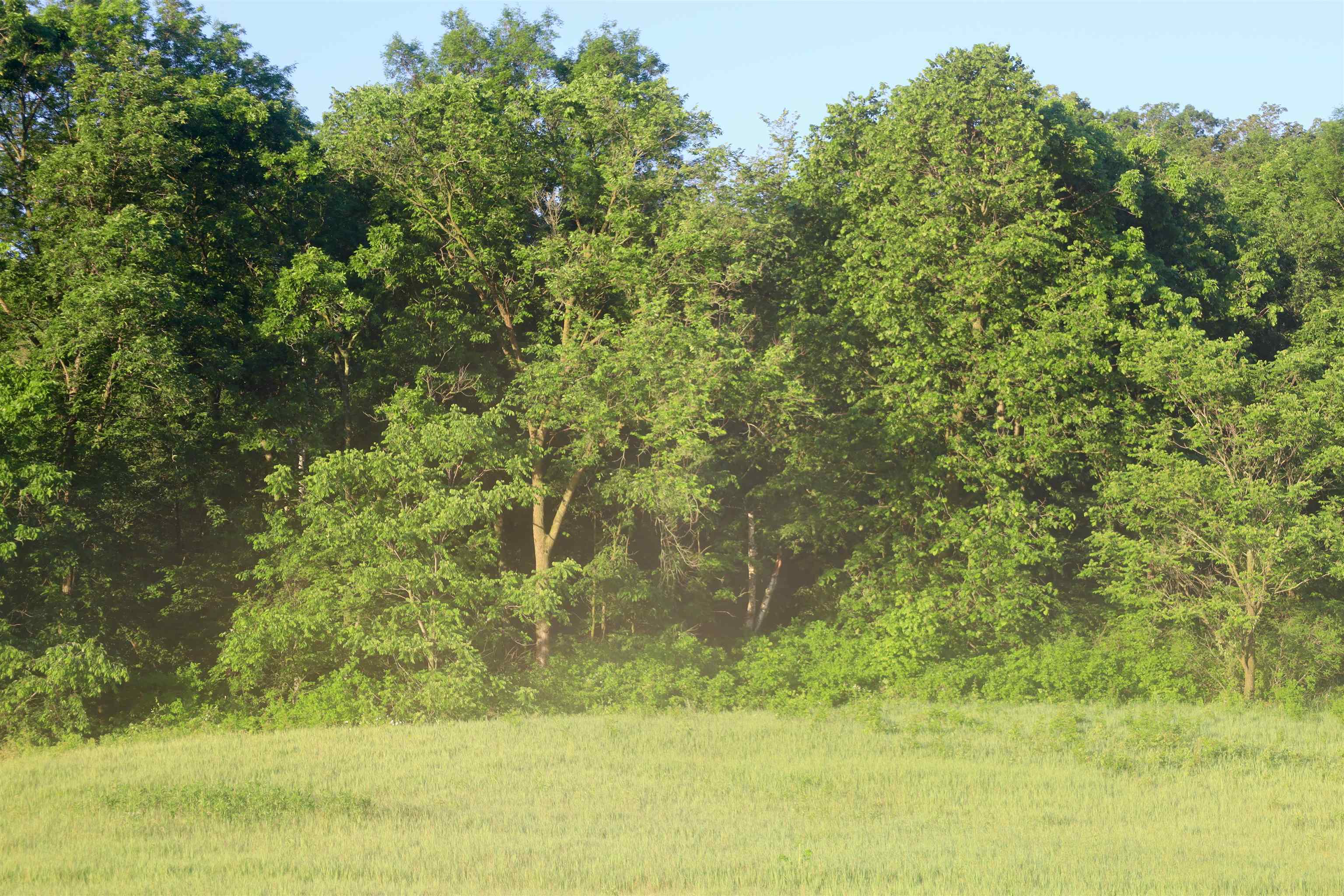 Tbd Wheat Hollow Road Cazenovia, WI 53924 - Photo 27 of 42