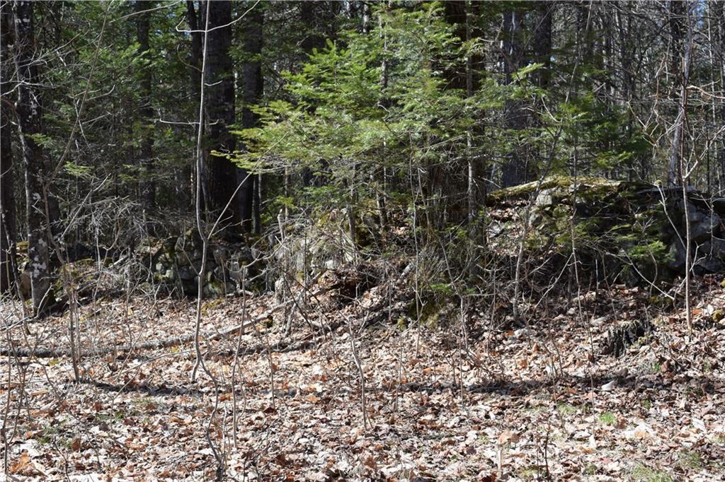 Lot 11 Bennett Pond Road Parkman, ME 04443 - Photo 34 of 35 Photo