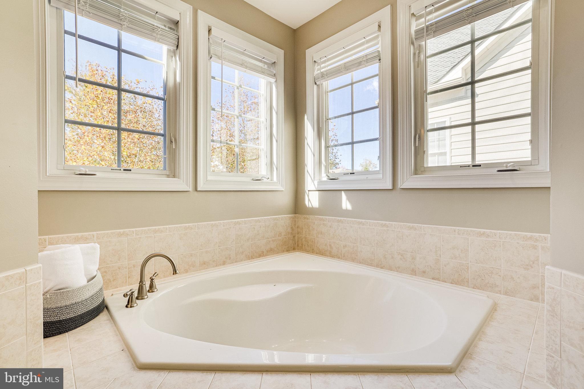 43645 Riverpoint Drive Leesburg, VA 20176 - Photo 69 of 88