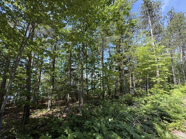 Lot 5-10 Charlotte Road Charlotte, ME 04666 - Photo 20 of 24 IMG_1706 (1)