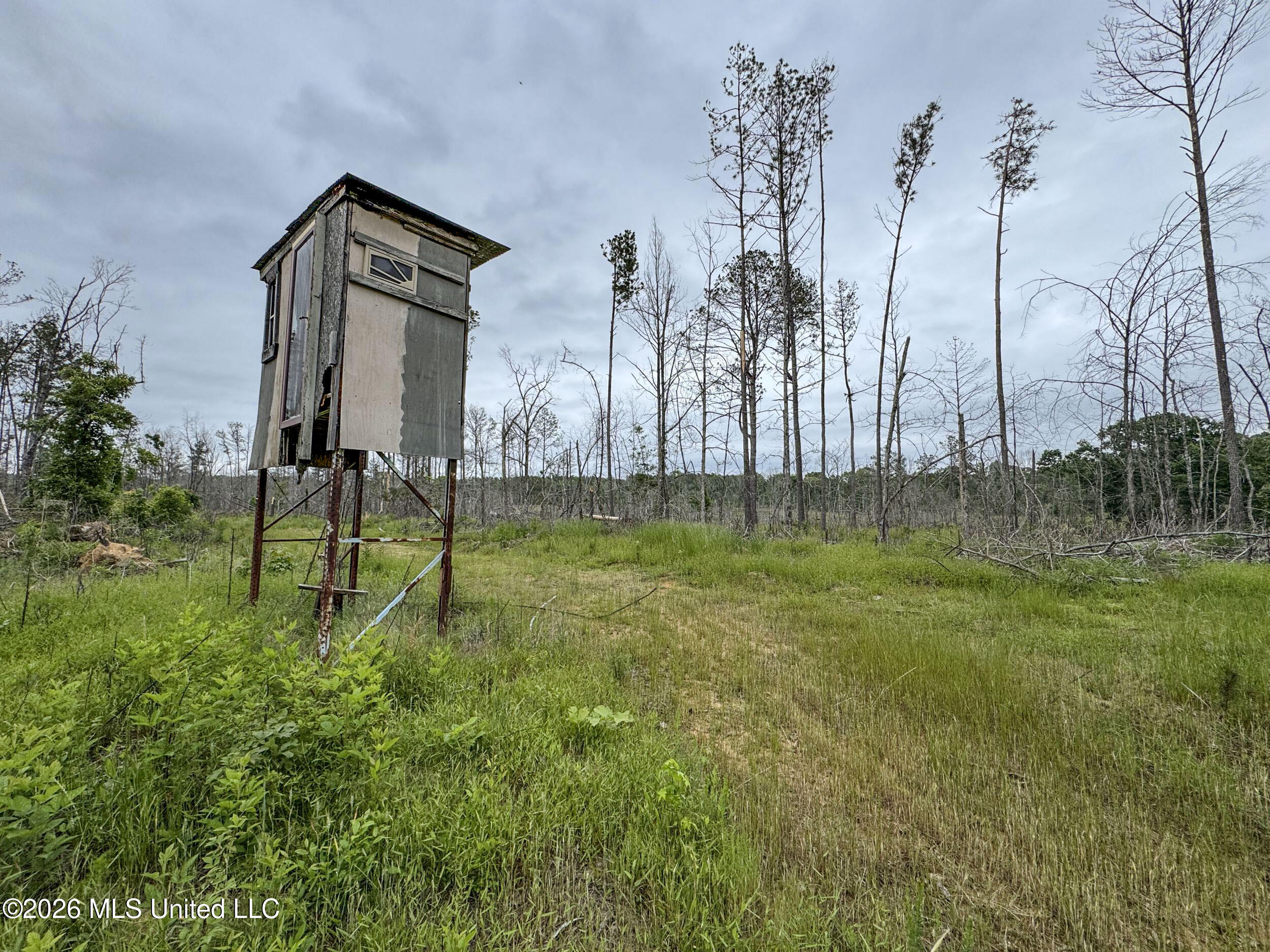 Wayne Massie Road Como, MS 38619 - Photo 159 of 184 5cdtbs105