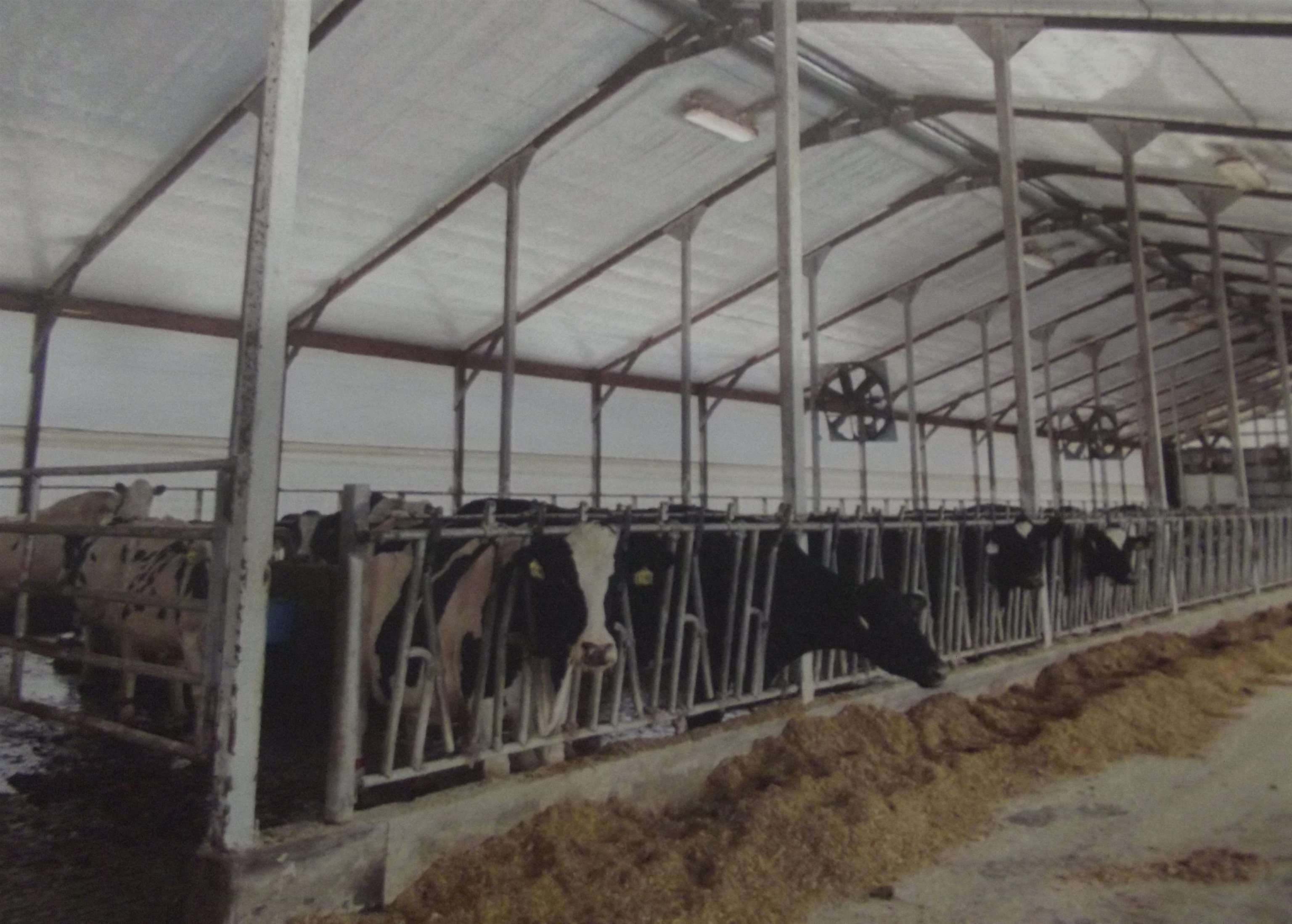 208784 River Run Road Stratford, WI 54484 - Photo 11 of 20