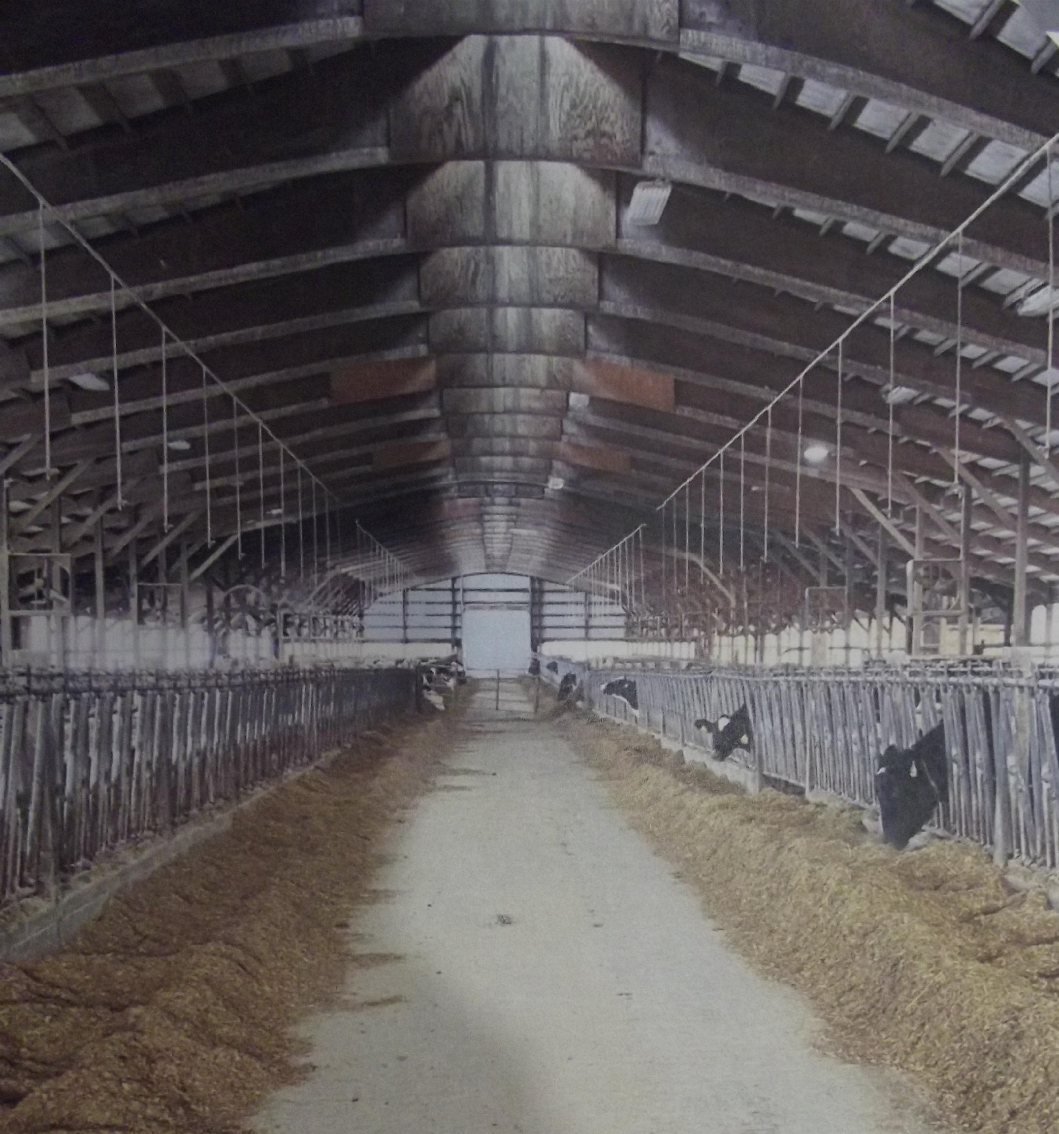 208784 River Run Road Stratford, WI 54484 - Photo 12 of 20