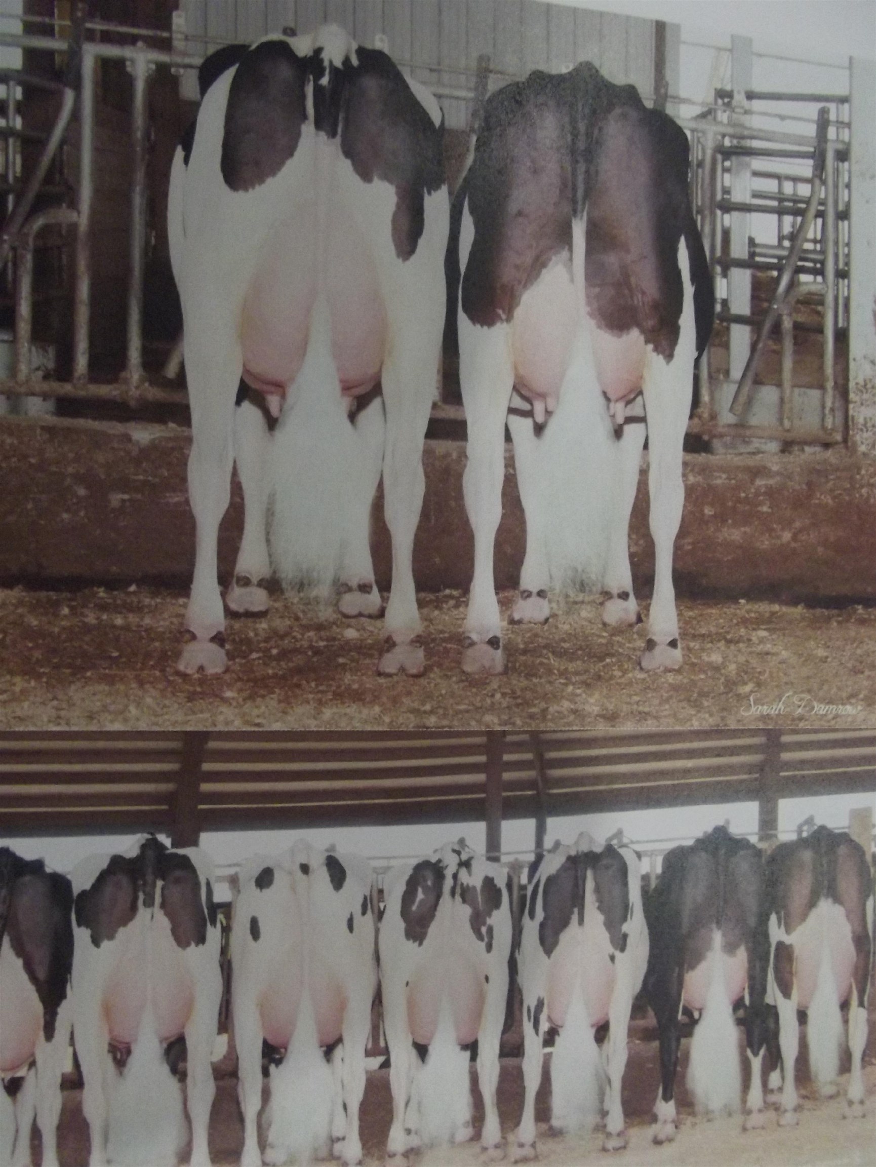 208784 River Run Road Stratford, WI 54484 - Photo 14 of 20