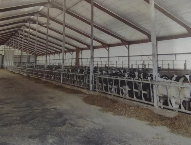 $3,915,000 | 208784 River Run Road, Stratford, WI 54484