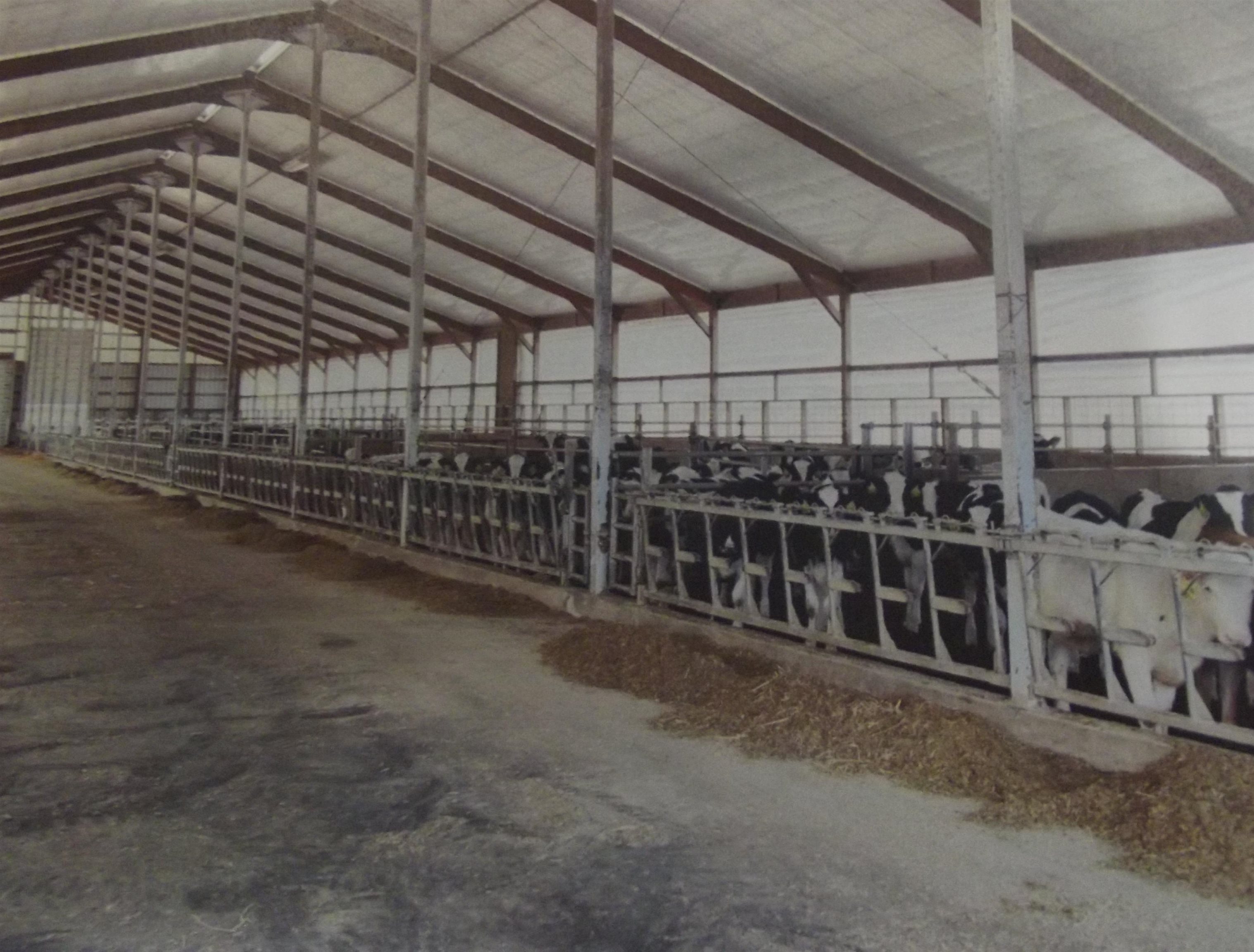 208784 River Run Road Stratford, WI 54484 - Photo 15 of 20