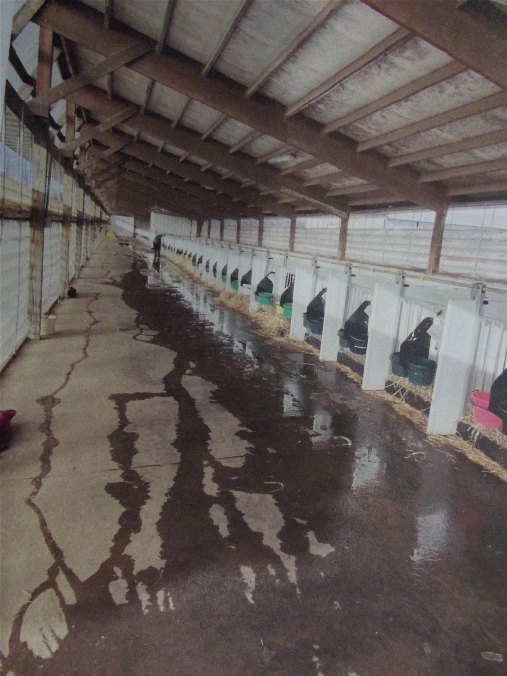 208784 River Run Road Stratford, WI 54484 - Photo 17 of 20